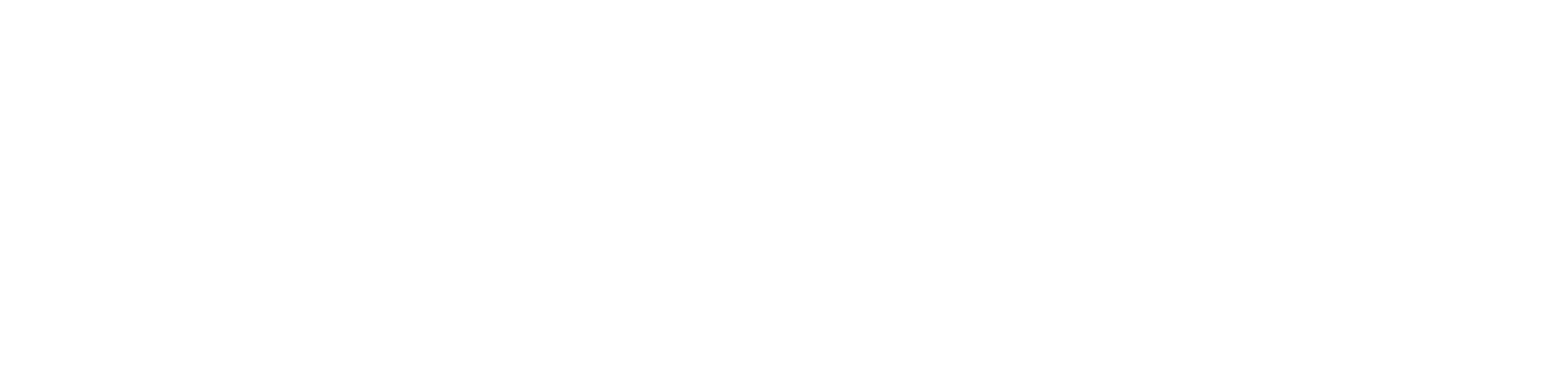 Discover SC Logo