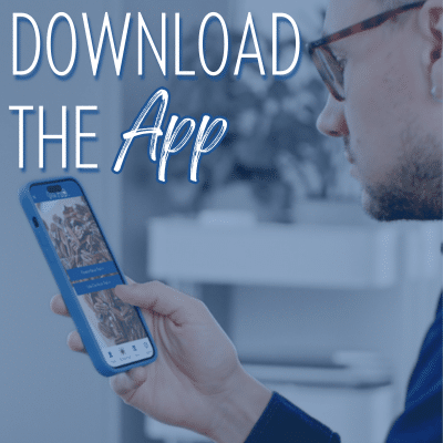 Download the app