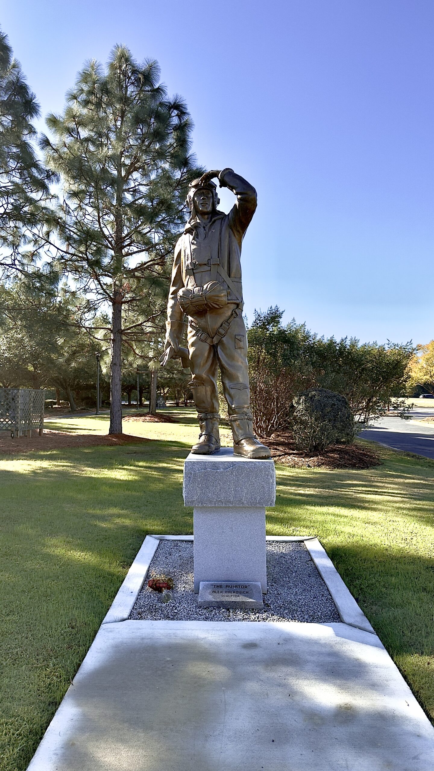 The Aviator by Alex Palkovich