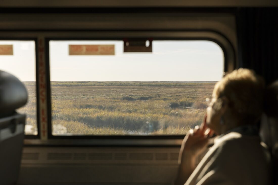 Photo from Garden and Gun Article By CJ Lotz Diego