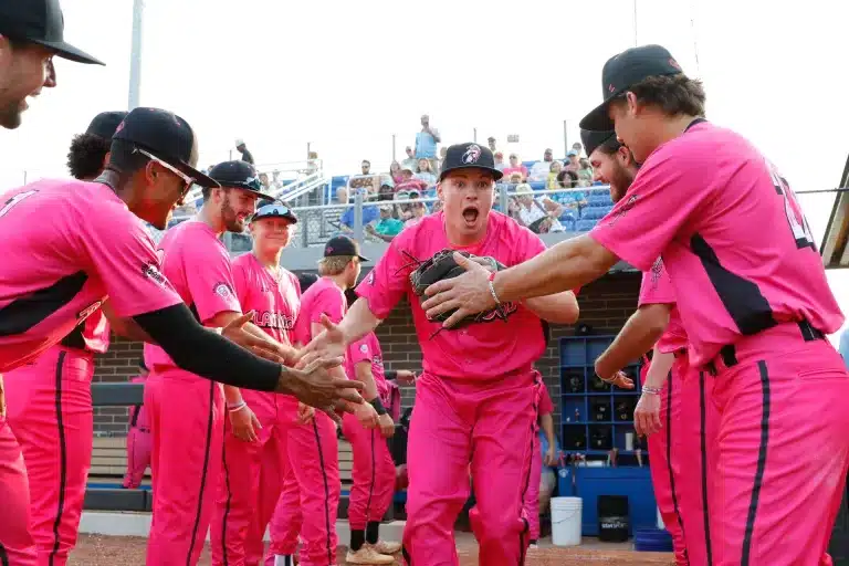 Players for the Florence Flamingos