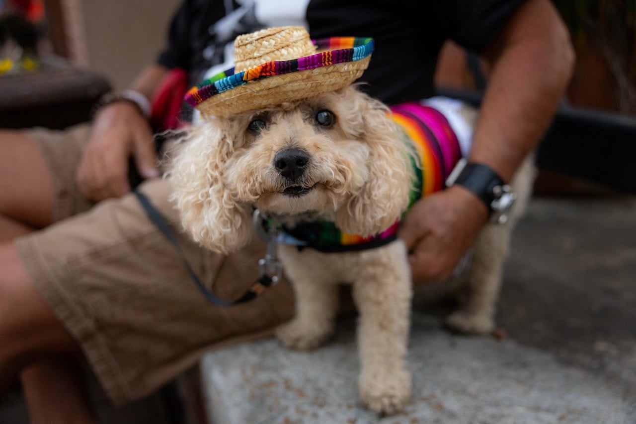 Cinco de Mayo Festival in Downtown Florence - Photo by True Light Photography